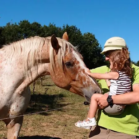 La Renardiere 18th Century Stone With Heated Pool 47 Ha Of Luberon Nature Perfect For Groups And Families * Montjustin