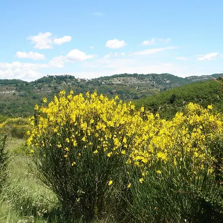 La Renardiere 18th Century Stone With Heated Pool 47 Ha Of Luberon Nature Perfect For Groups And Families Villa *