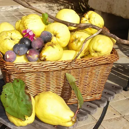 La Renardiere 18th Century Stone With Heated Pool 47 Ha Of Luberon Nature Perfect For Groups And Families *