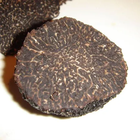 La Renardiere 18th Century Stone With Heated Pool 47 Ha Of Luberon Nature Perfect For Groups And Families Villa Montjustin