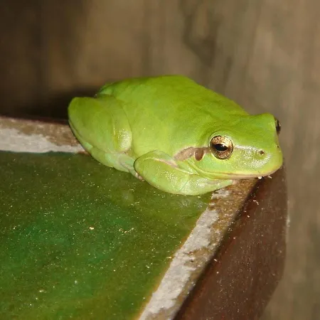 Villa La Renardiere 18th Century Stone With Heated Pool 47 Ha Of Luberon Nature Perfect For Groups And Families *