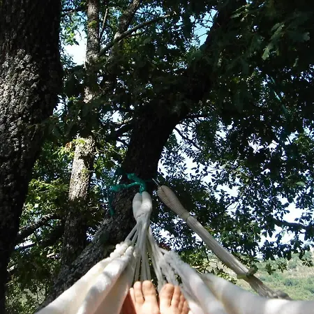 Villa La Renardiere 18th Century Stone With Heated Pool 47 Ha Of Luberon Nature Perfect For Groups And Families