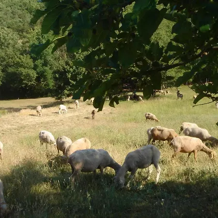 La Renardiere 18th Century Stone With Heated Pool 47 Ha Of Luberon Nature Perfect For Groups And Families *