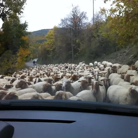 La Renardiere 18th Century Stone With Heated Pool 47 Ha Of Luberon Nature Perfect For Groups And Families Villa